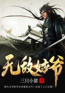大唐无敌姑爷
