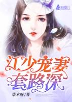 江少宠妻无度