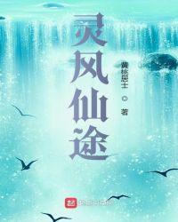 灵风仙途全文无弹窗