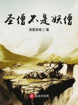 圣僧不是妖僧简介