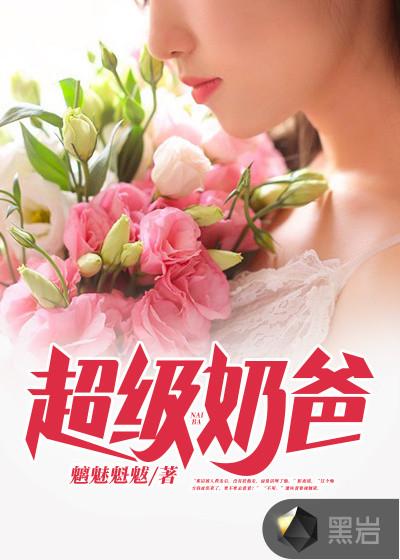 超级奶爸txt