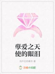 天使的眼泪动漫