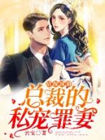 错嫁成婚 总裁的私宠