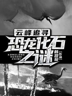 超女杨蕾个人资料