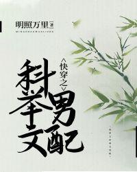 快穿之科举文男配乐文