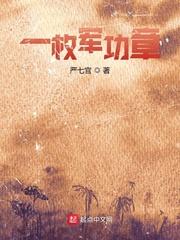 一枚军功章的故事作文
