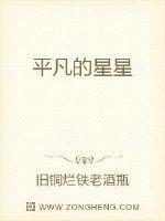 平凡的星星不少于700字