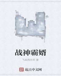 战神霸婿王丞