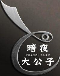 暗夜公子嬴政碎片商店