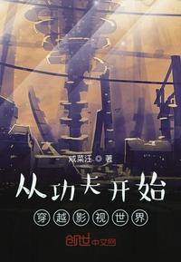 从功夫开始穿越影视世界txt