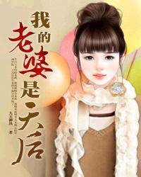 我的老婆是天后有几个女主