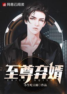 无敌弃婿苏渊林初墨