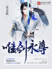 唯剑永尊有声