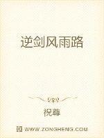 逆剑武器攻略