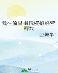 我在流星街玩模拟经营游戏109