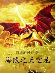 海贼之天空龙笔趣阁