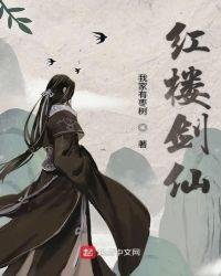红楼剑仙全文阅读