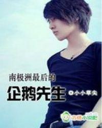 南极洲企鹅视频
