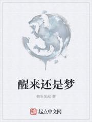 醒来还是梦歌