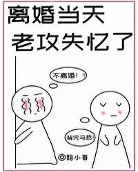 老攻失忆了怎么破百度