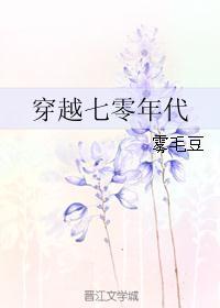 穿越七零年代攻略