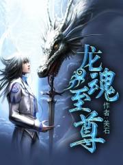 龙魂至尊txt