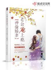 神偷娇妻老公宠上瘾