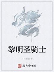 黎明前线圣骑士技能