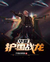 华夏护国战龙txt全集