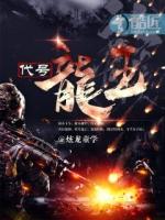 主角代号龙的