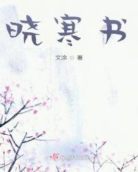 晓寒书画