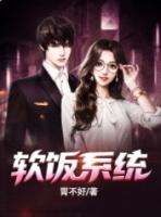 不吃软饭系统