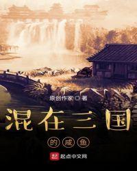 三国之咸鱼书生