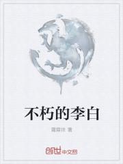 李不白的诗歌