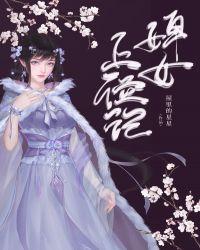 婢女上位记女主评价