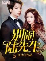 别闹陆先生101次追缉令