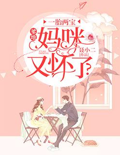 一胎两宝爹地妈咪又怀了动漫