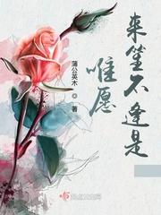 唯愿来生不爱你林时音25章