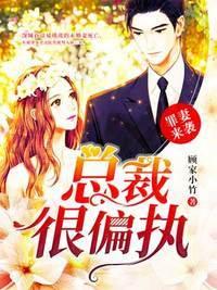 罪妻来袭总裁很偏执全文免费阅读