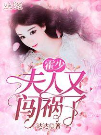 夫人又闯祸了TXT