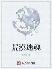 荒漠迷城是什么图