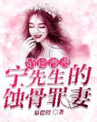 婚途漫漫宁先生的蚀骨罪妻或者恰逢宁夏满星辰