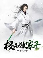 极品败家子主角林天