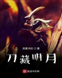 刀藏明月txt