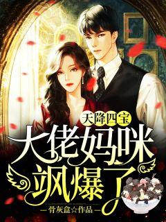 天降四宝妈咪太娇得宠着免费阅读云小晚