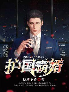护国龙婿全集