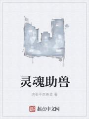 灵魂兽排名