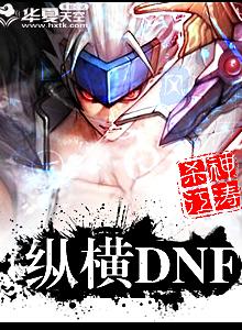 纵横dnf