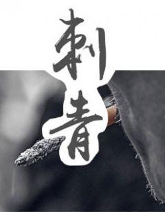 驶入一辆撞破了保险杠