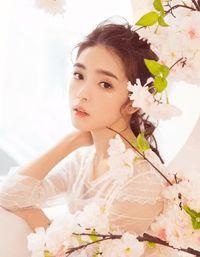 楚洛柠陆洵是什么